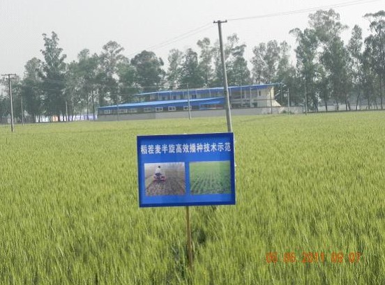 點擊查看放大圖
