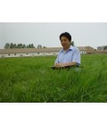 |Cʡr(nng)I(y)ƌW(xu)ԺơԭооT